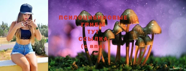 шишки Нея