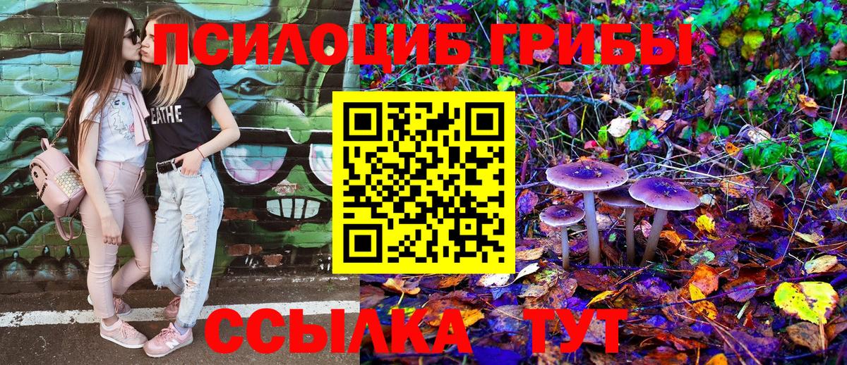 Галлюциногенные грибы Psilocybine cubensis  Вход с VPN  Луга 