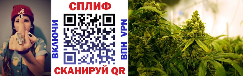 Бошки марихуана индика  Луга 